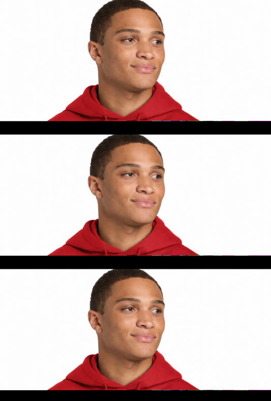 Bay Harbor Red Palm Tree Hoodie