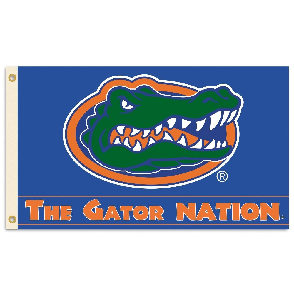 NCAA Florida Gators Flag with Grommets, Multicolor, 3' x 5', Model: 35309